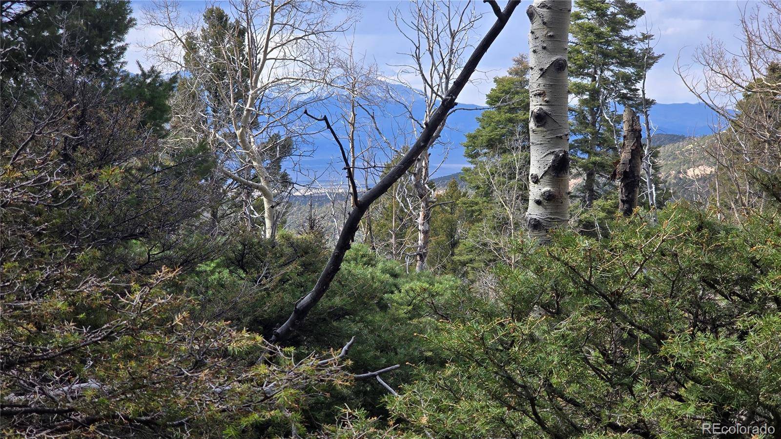 Lot 5261 Scott RD, Fort Garland, CO 81133