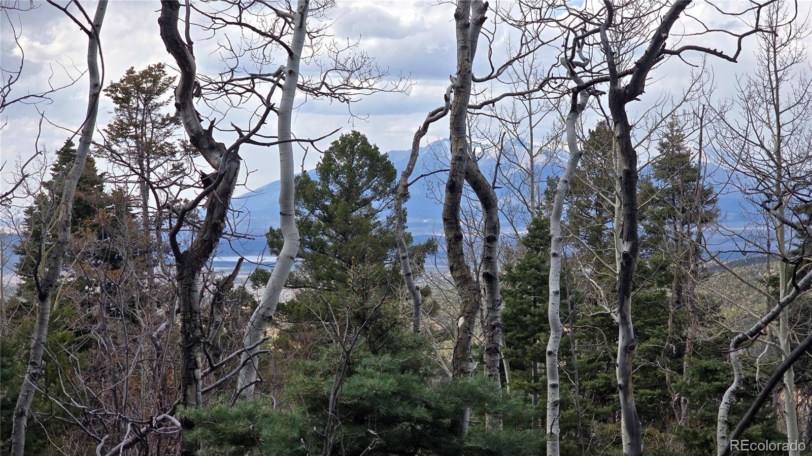 Lot 5261 Scott RD, Fort Garland, CO 81133