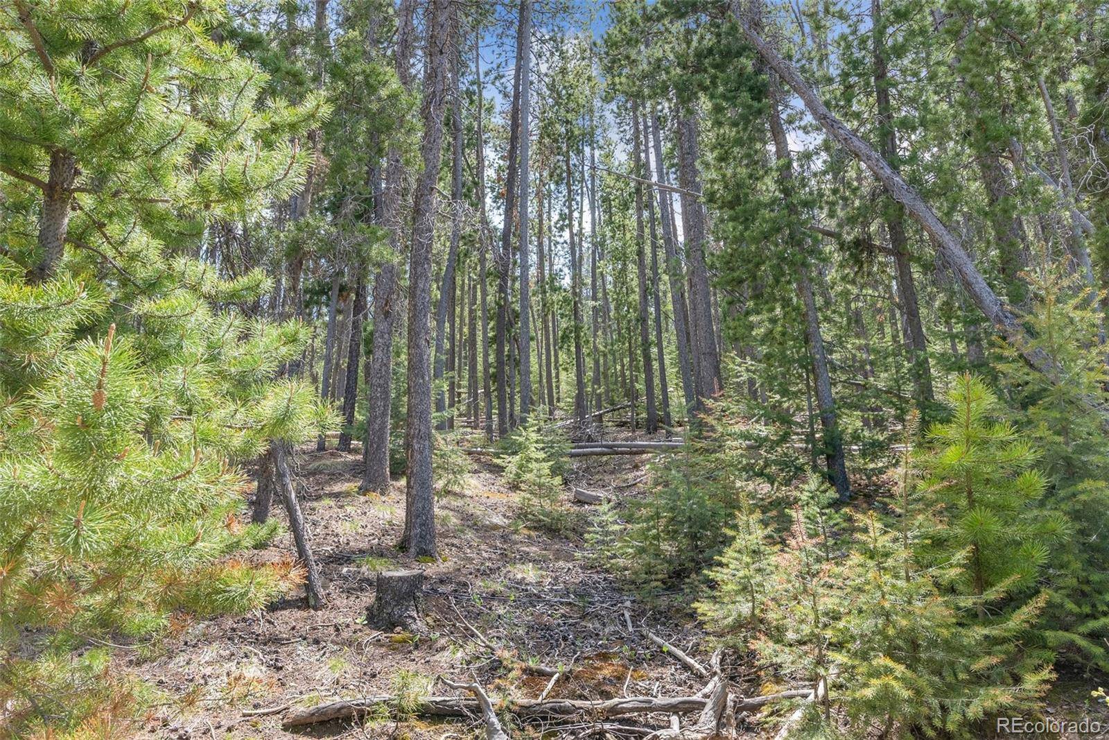 Lost Cabin Trail, Evergreen, CO 80439
