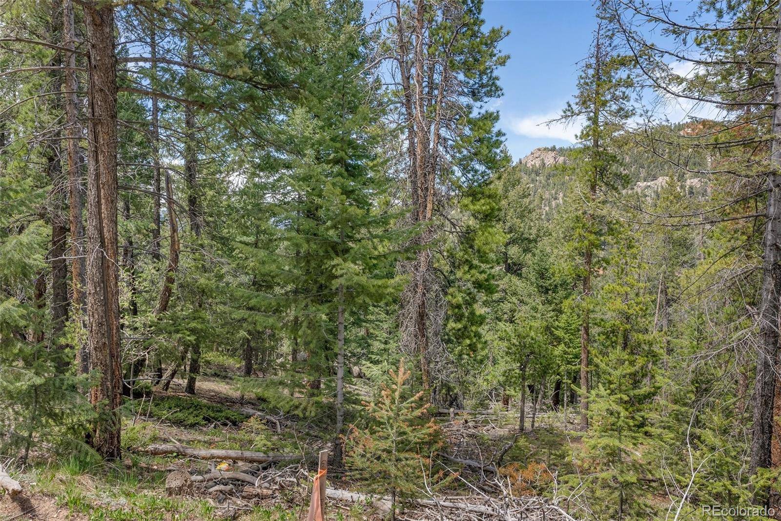 Lost Cabin Trail, Evergreen, CO 80439