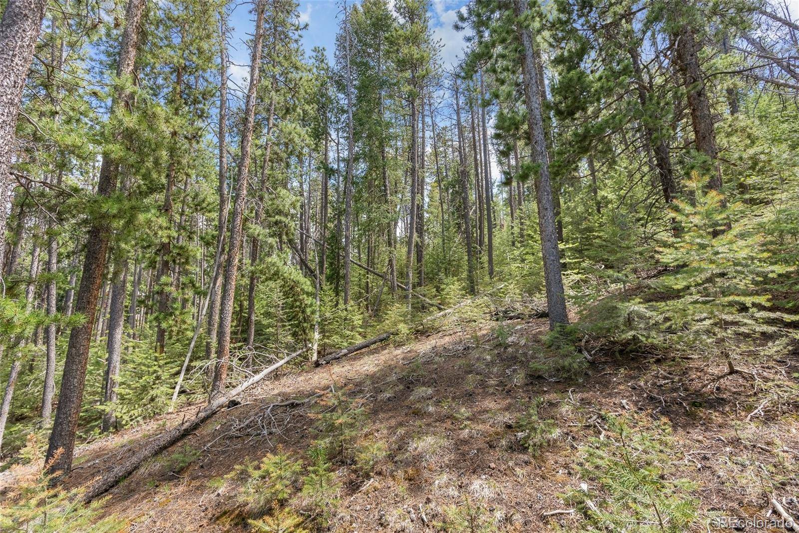 Lost Cabin Trail, Evergreen, CO 80439