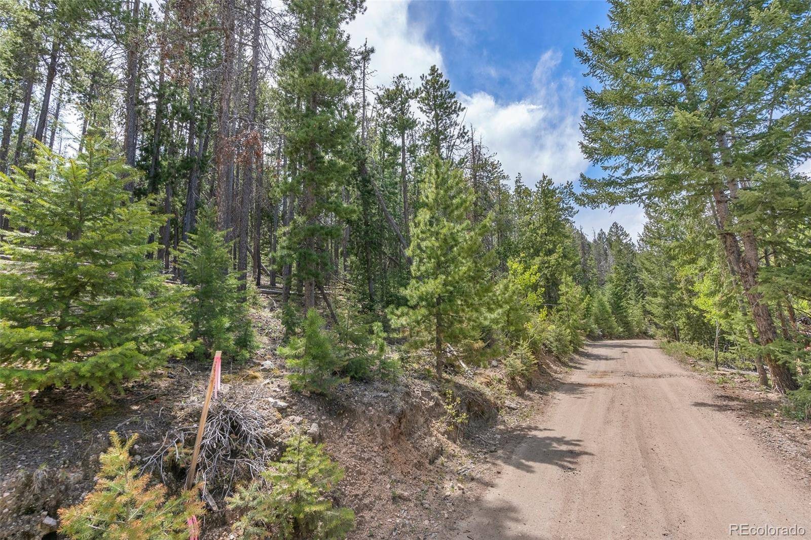 Lost Cabin Trail, Evergreen, CO 80439