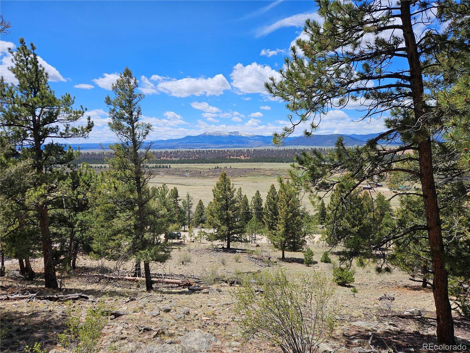 Bonell DR, Fairplay, CO 80440