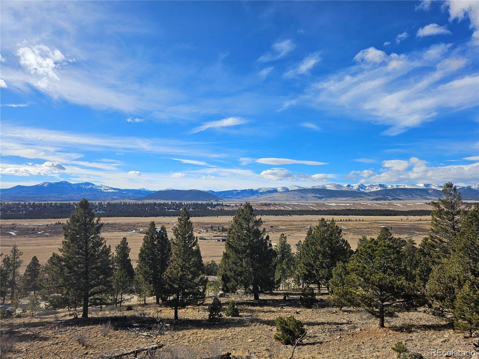 Bonell DR, Fairplay, CO 80440