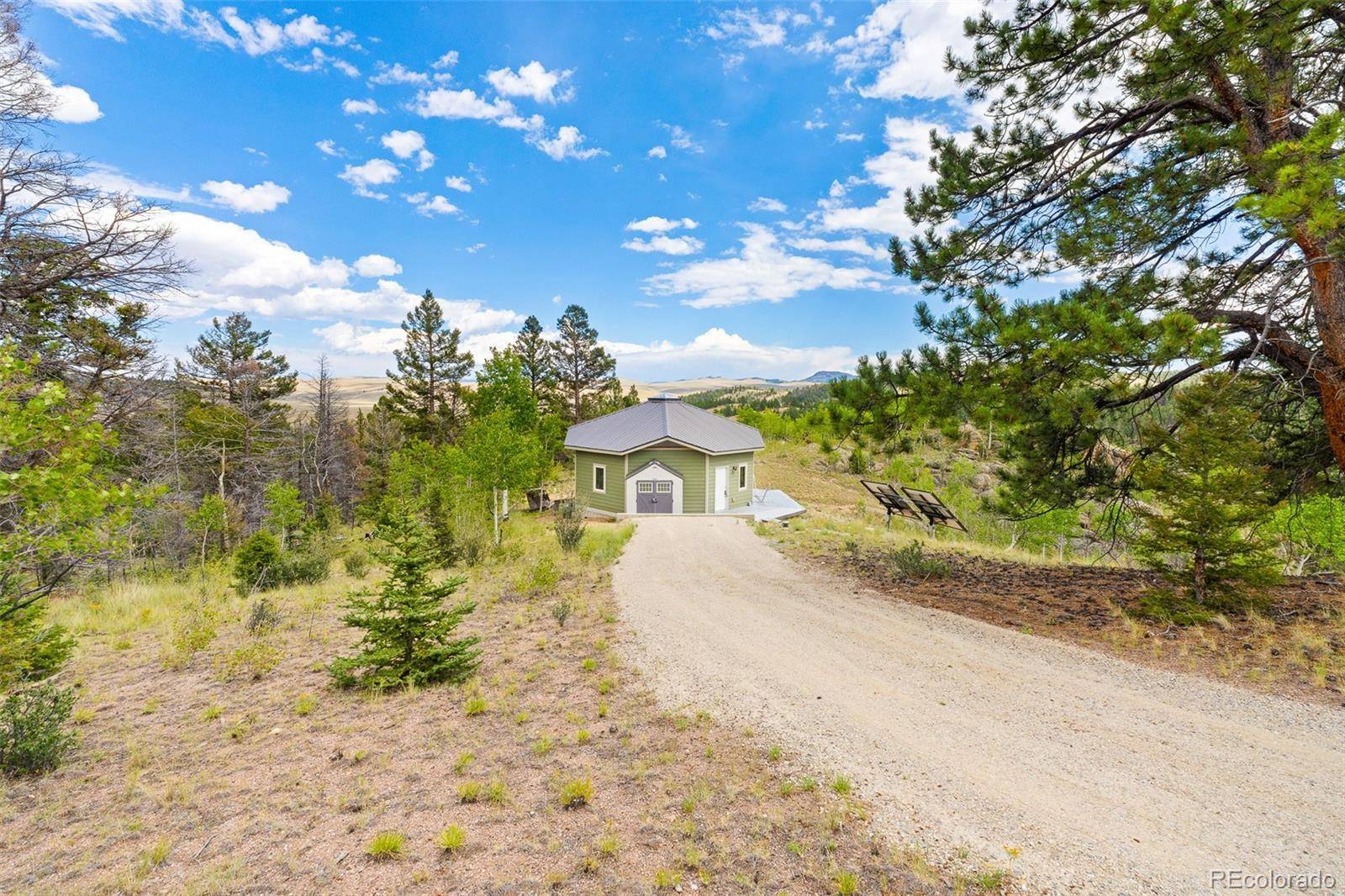 65 Riata RUN, Hartsel, CO 80449