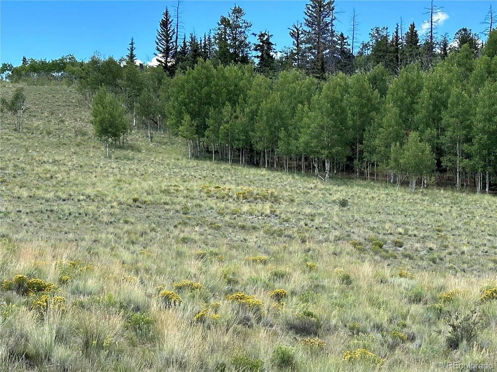 95 Wabeno CT, Jefferson, CO 80456