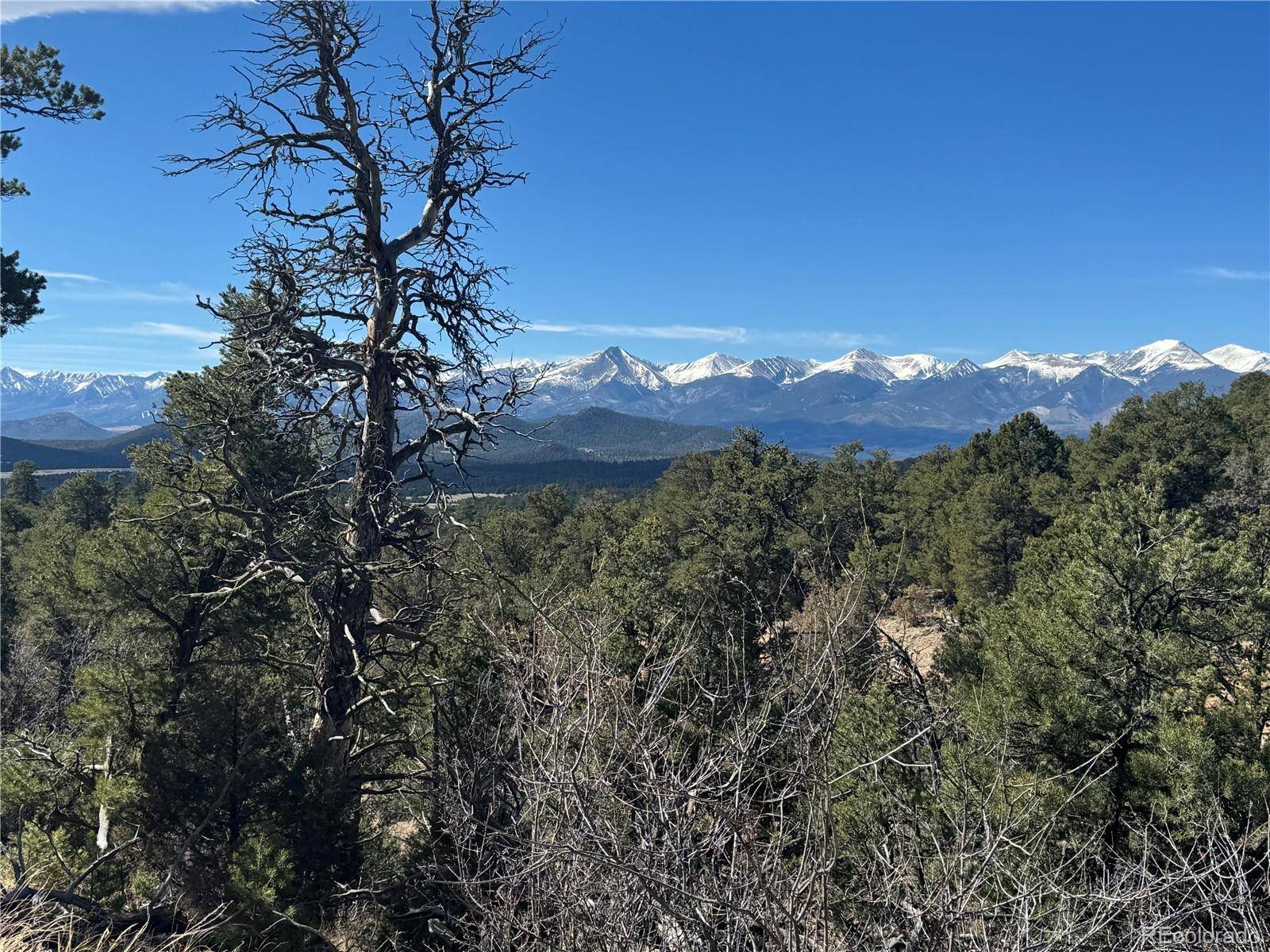 1214 Kevin DR, Cotopaxi, CO 81223