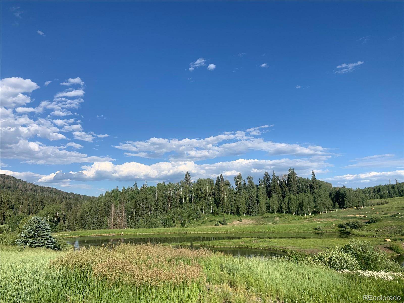 205 Lost Valley DR, Creede, CO 81130