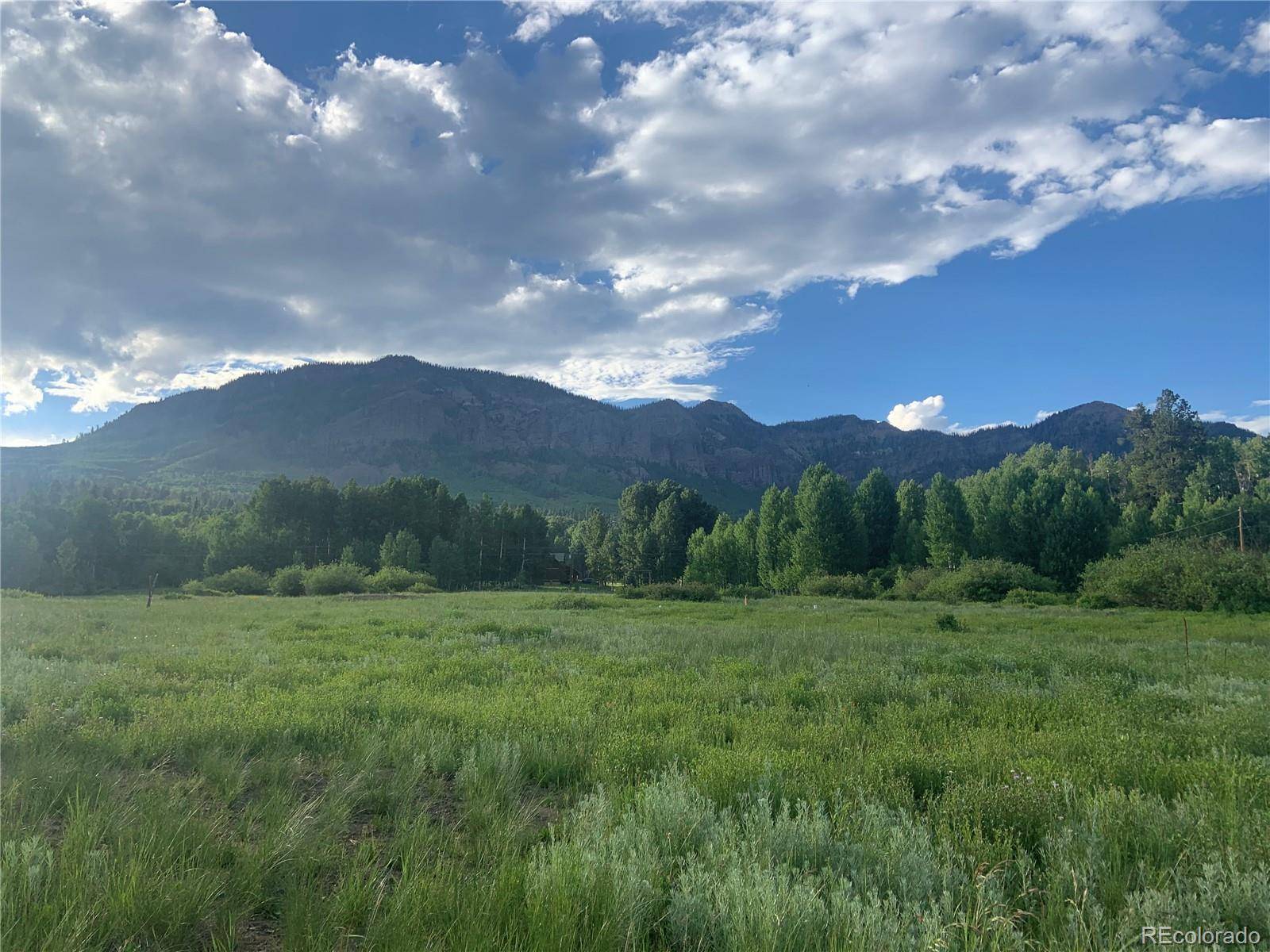 205 Lost Valley DR, Creede, CO 81130