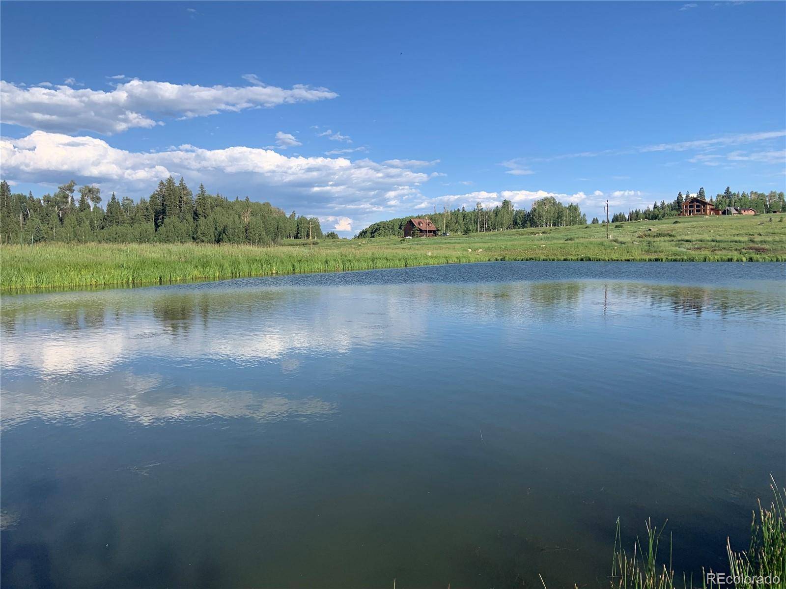 205 Lost Valley DR, Creede, CO 81130