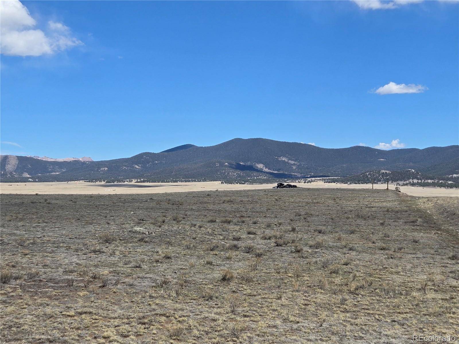 Elk LN, Hartsel, CO 80449