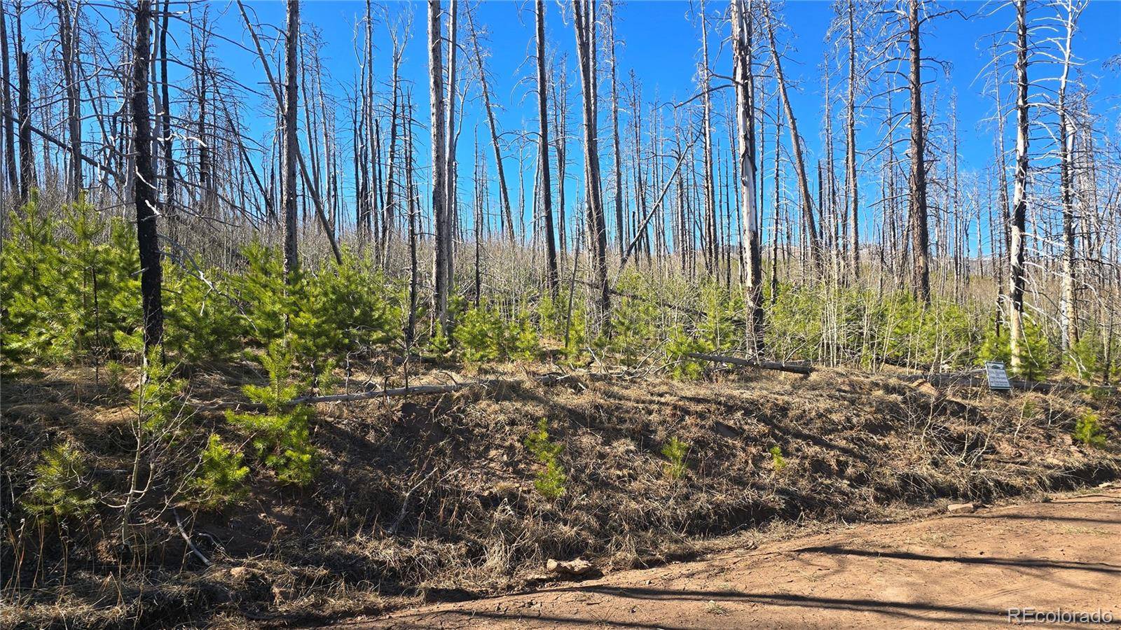 Lot 1470 Von Heyl LN, Fort Garland, CO 81133