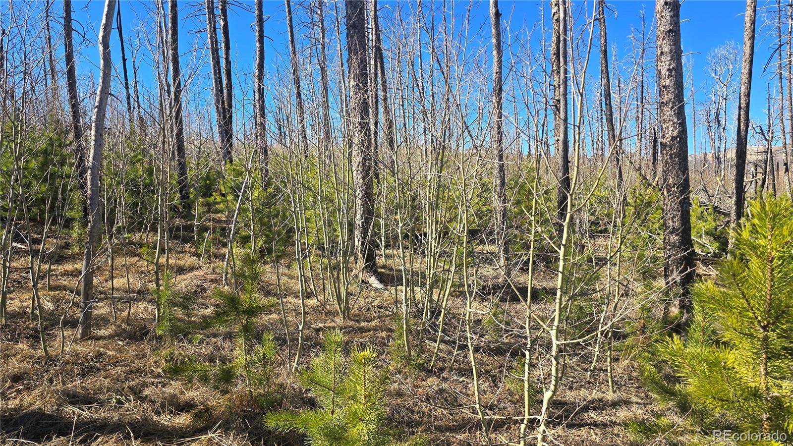 Lot 1470 Von Heyl LN, Fort Garland, CO 81133