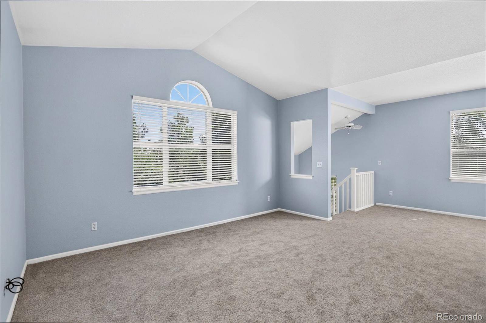640 Gooseberry DR #803, Longmont, CO 80503