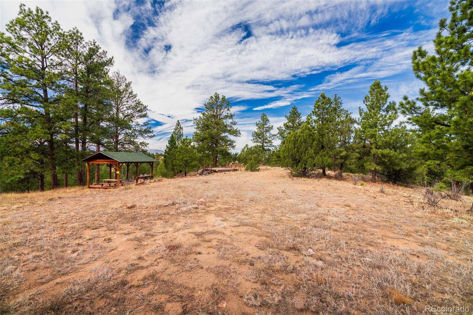 881 Vista De Aspen RD, Westcliffe, CO 81252