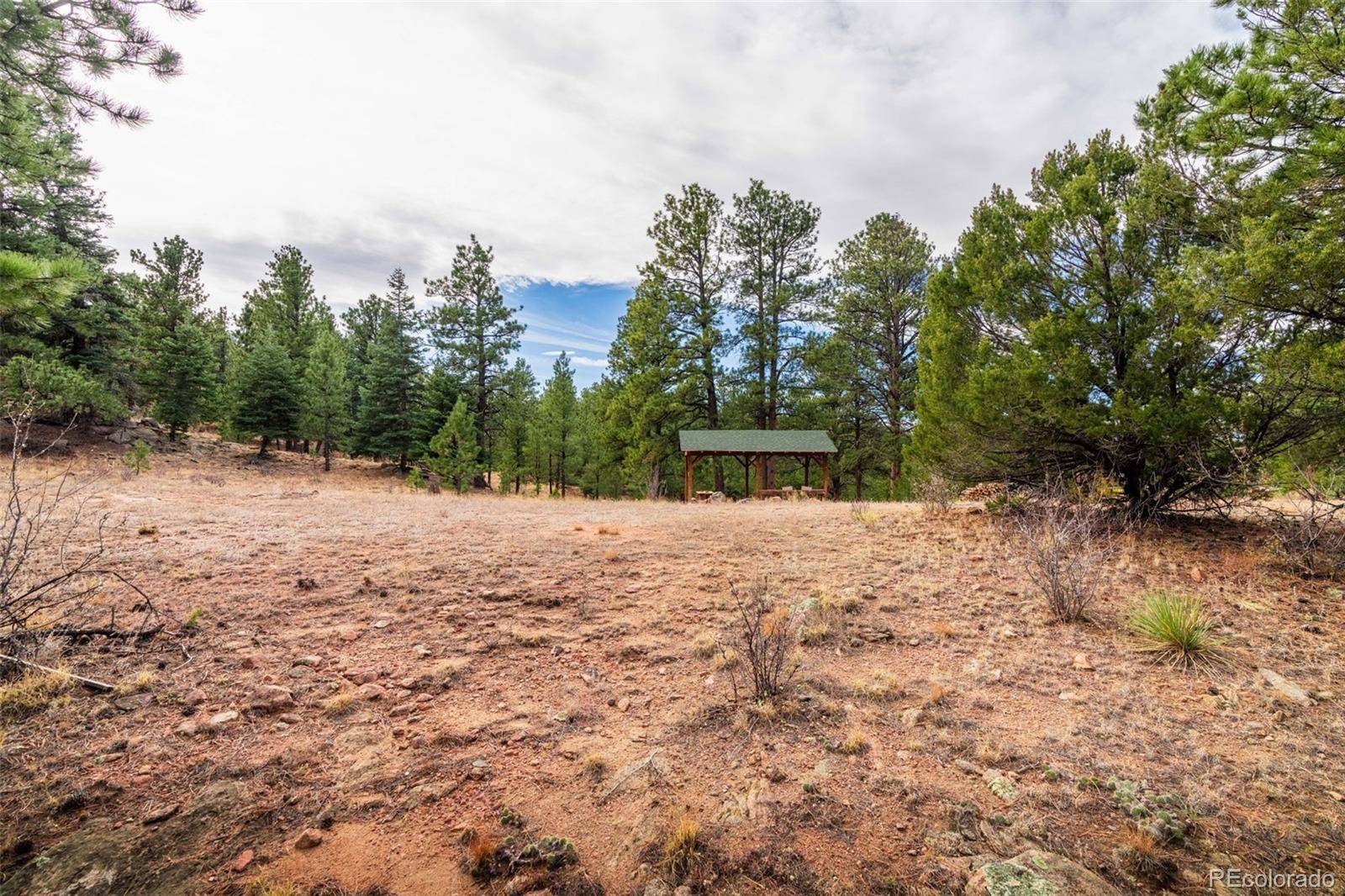881 Vista De Aspen RD, Westcliffe, CO 81252