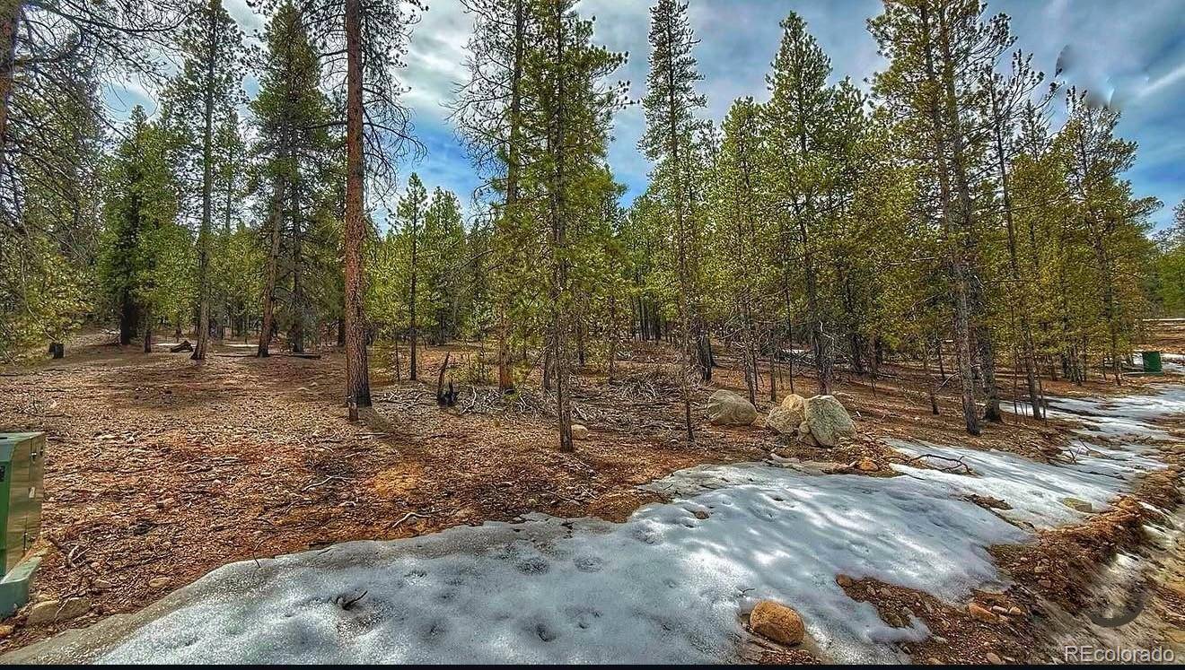 48 Mount Massive RD, Twin Lakes, CO 81251