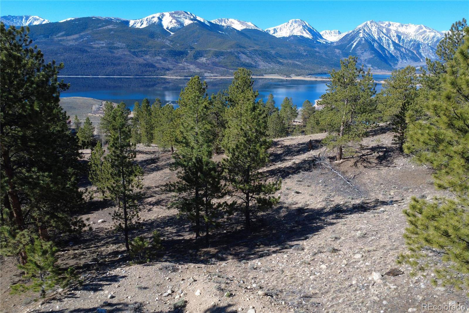 142 La Plata Peak DR, Twin Lakes, CO 81251