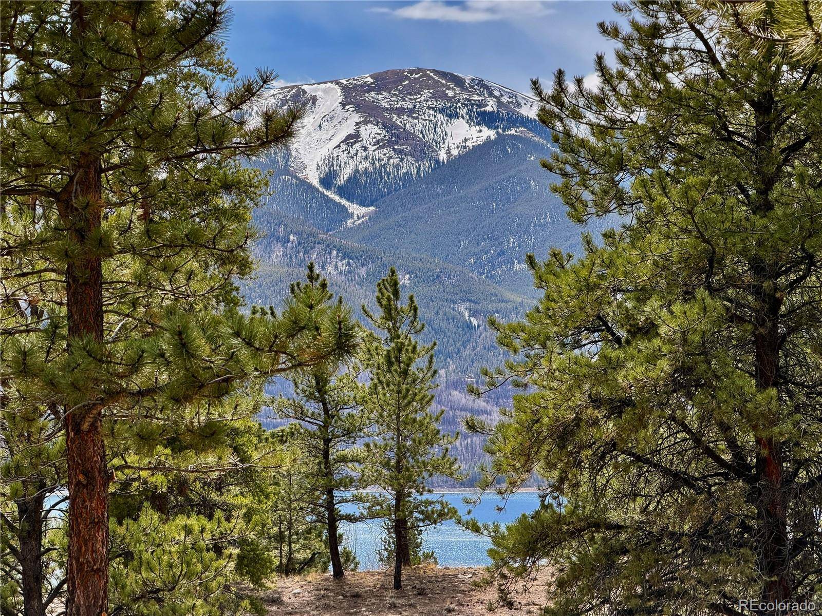142 La Plata Peak DR, Twin Lakes, CO 81251