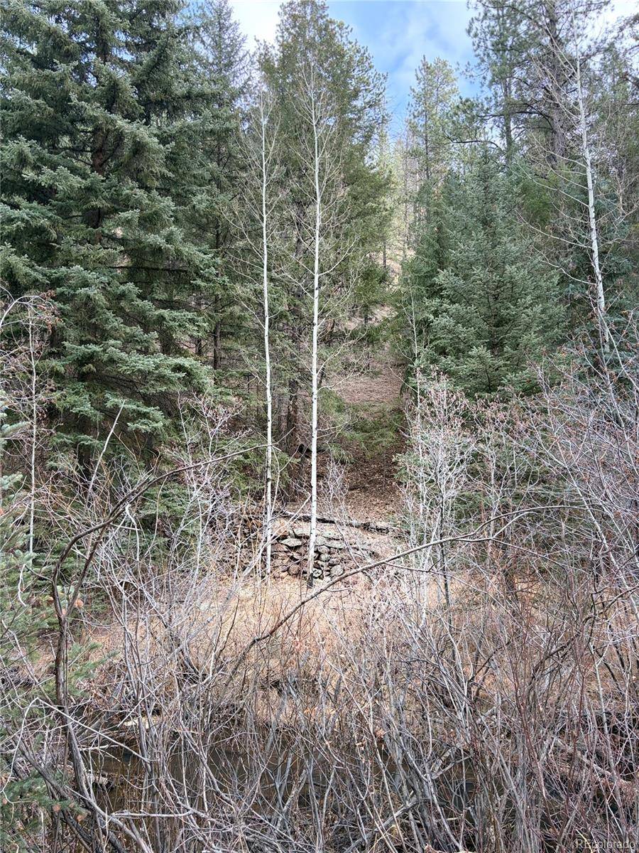 00000 S Elk Creek RD, Pine, CO 80470