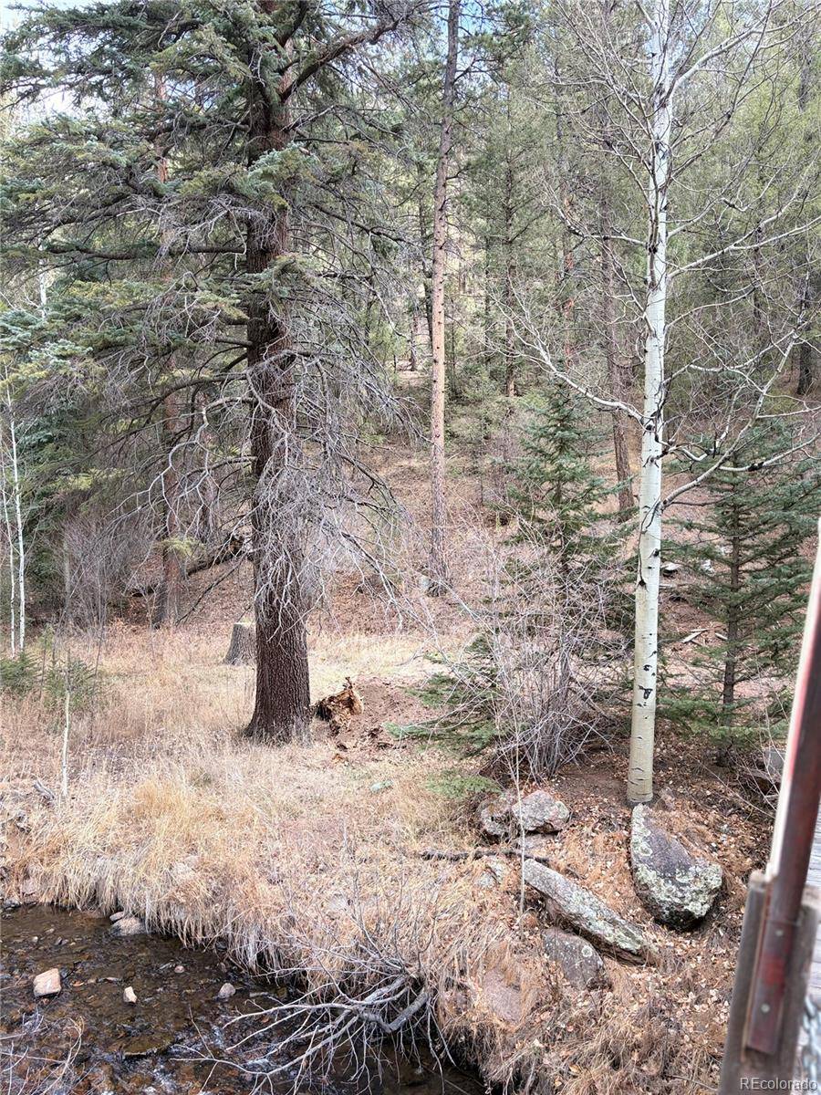 00000 S Elk Creek RD, Pine, CO 80470