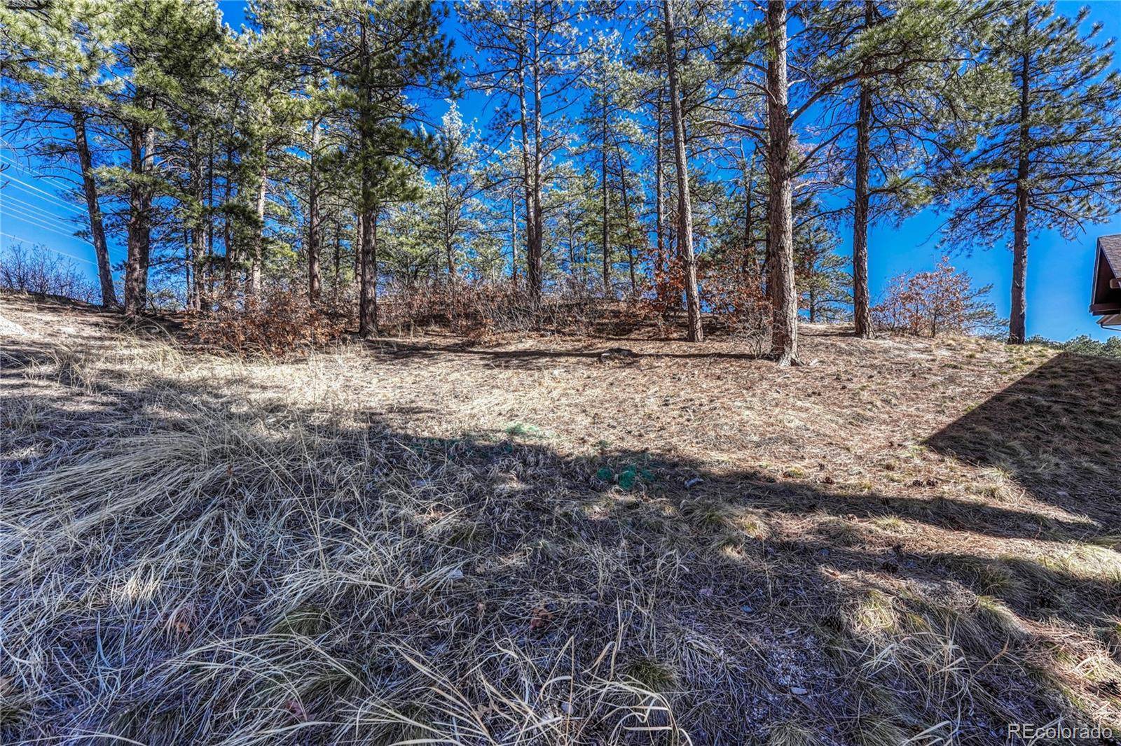 2111 Ramblewood CT, Castle Rock, CO 80104