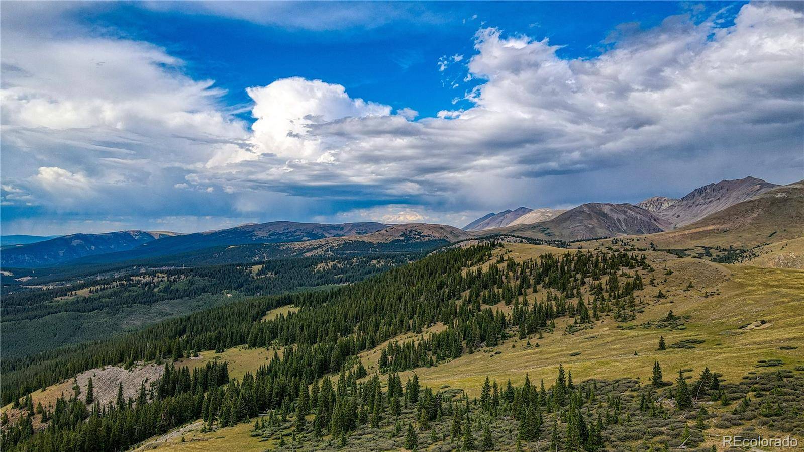 9551 Rose Group, Leadville, CO 80461