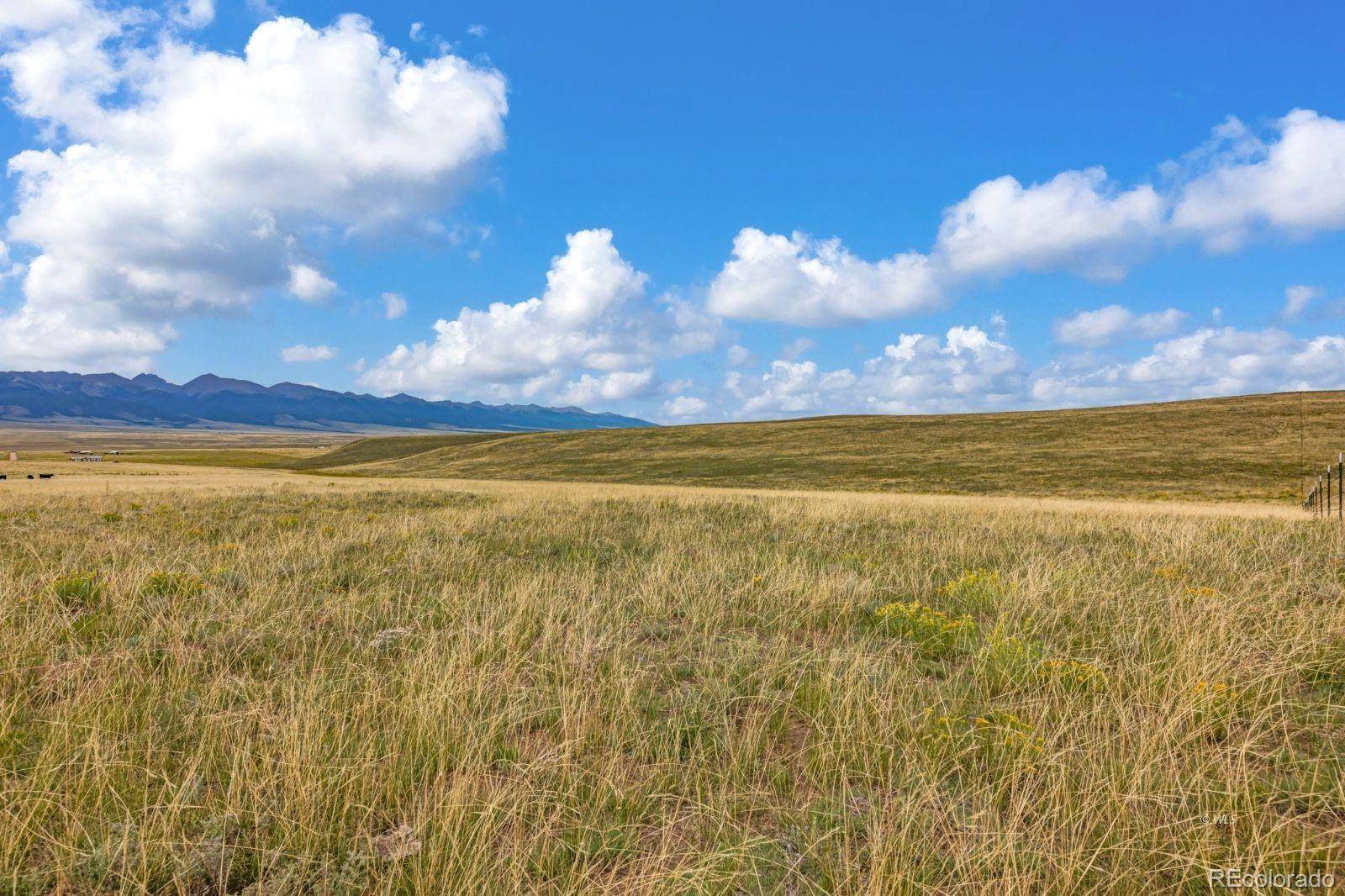 2015 Kit Carson RD, Westcliffe, CO 81252