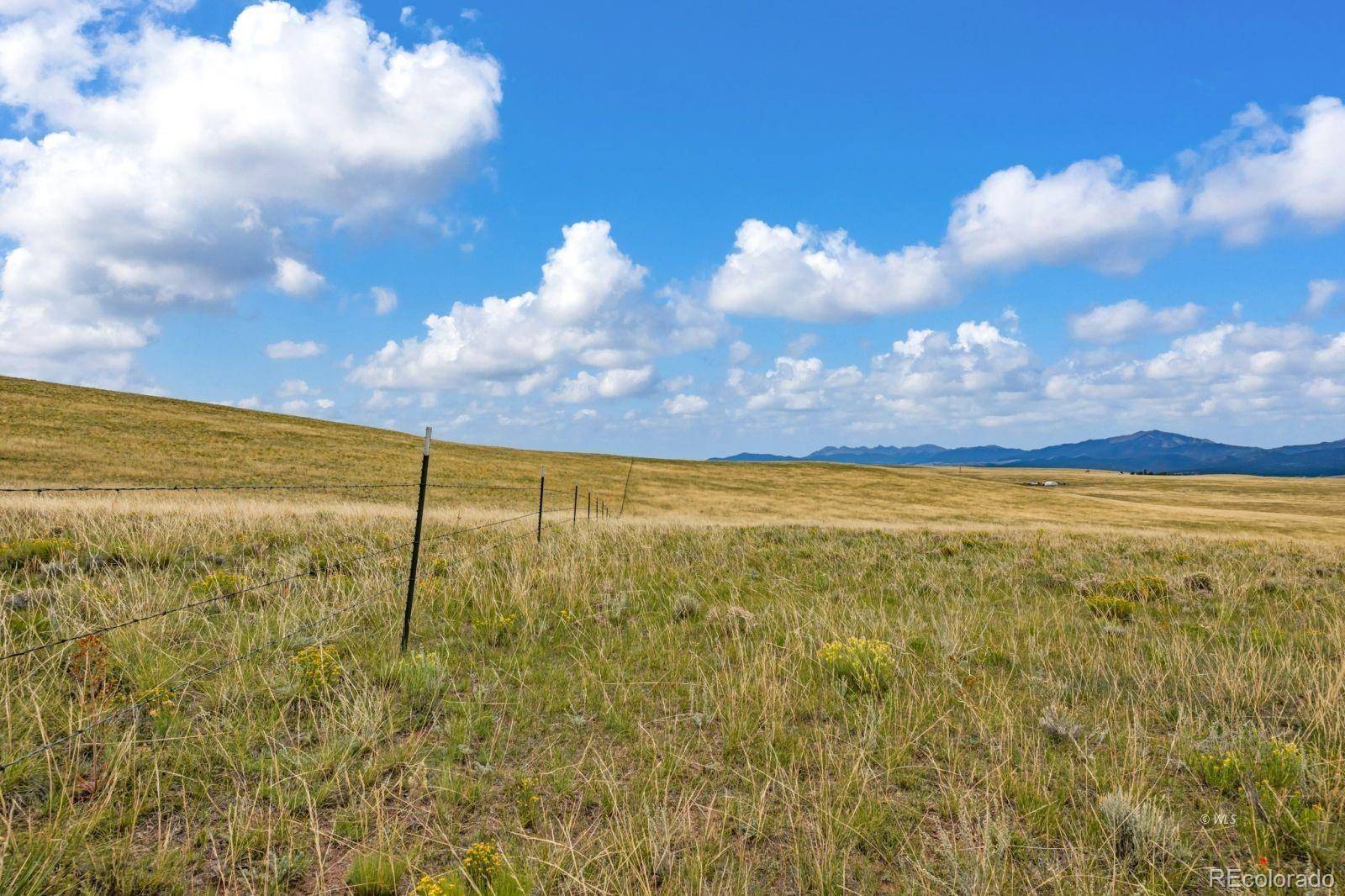 2015 Kit Carson RD, Westcliffe, CO 81252