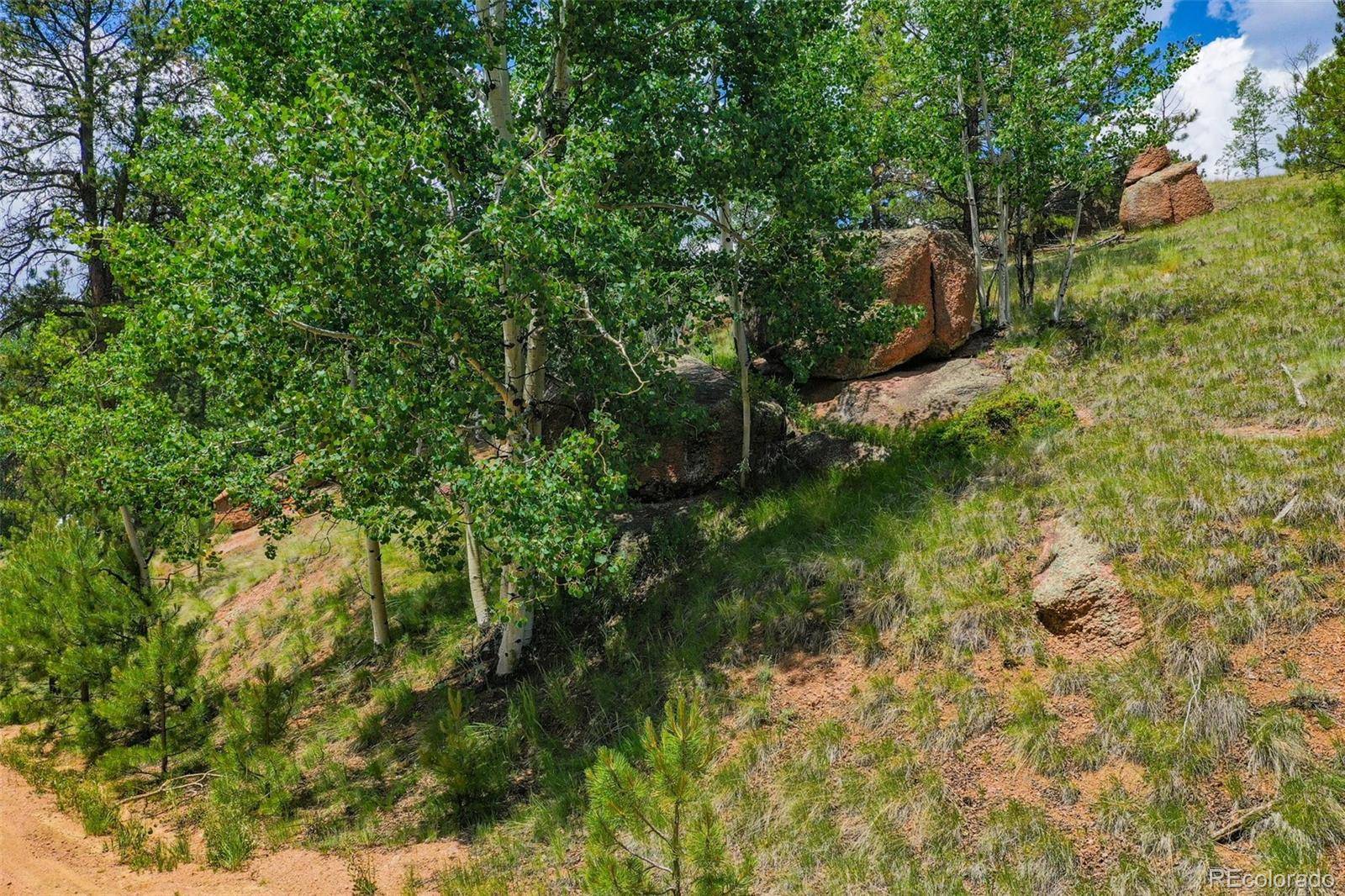525 Spring Valley LN, Florissant, CO 80816