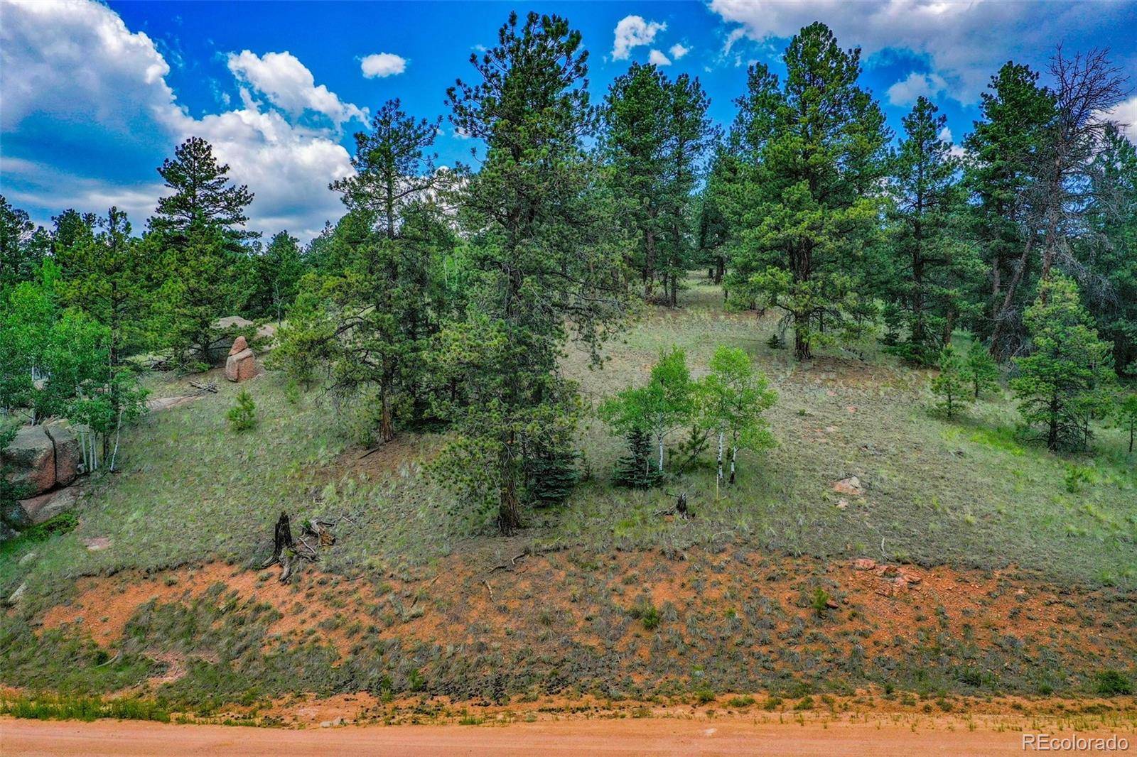 525 Spring Valley LN, Florissant, CO 80816