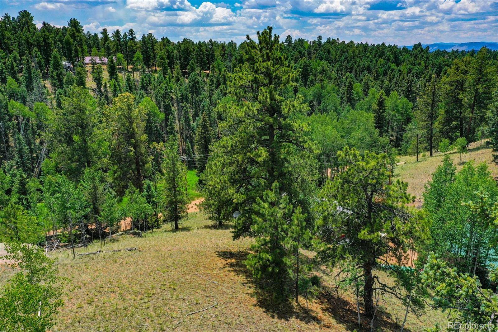 525 Spring Valley LN, Florissant, CO 80816