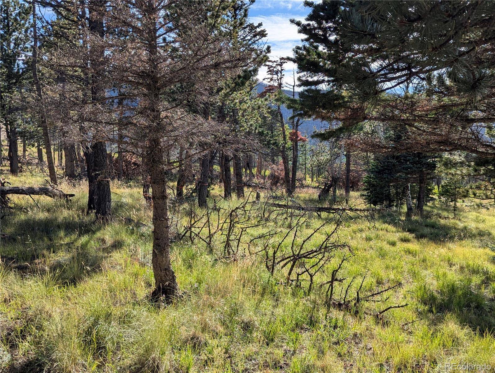 2127 Sigler DR, Fort Garland, CO 81133