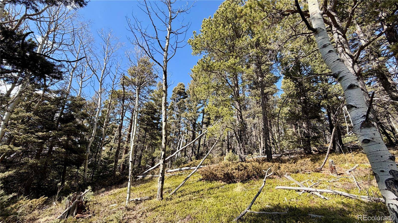 2796 Moir DR, Fort Garland, CO 81133