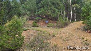 Olympic and Hecla Mines, Dumont, CO 80436