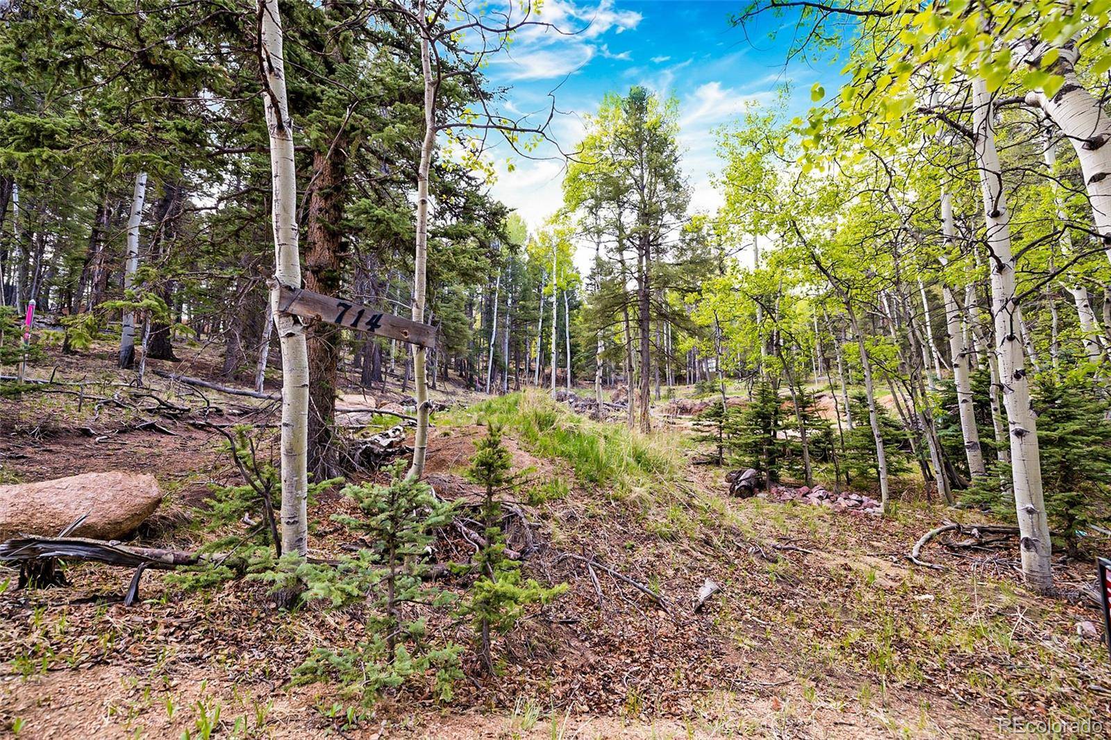 714 Will Stutley DR, Divide, CO 80814