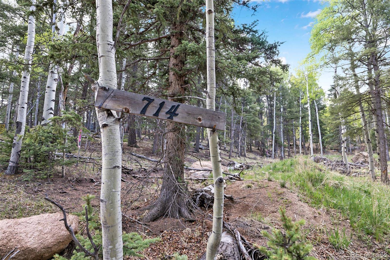714 Will Stutley DR, Divide, CO 80814