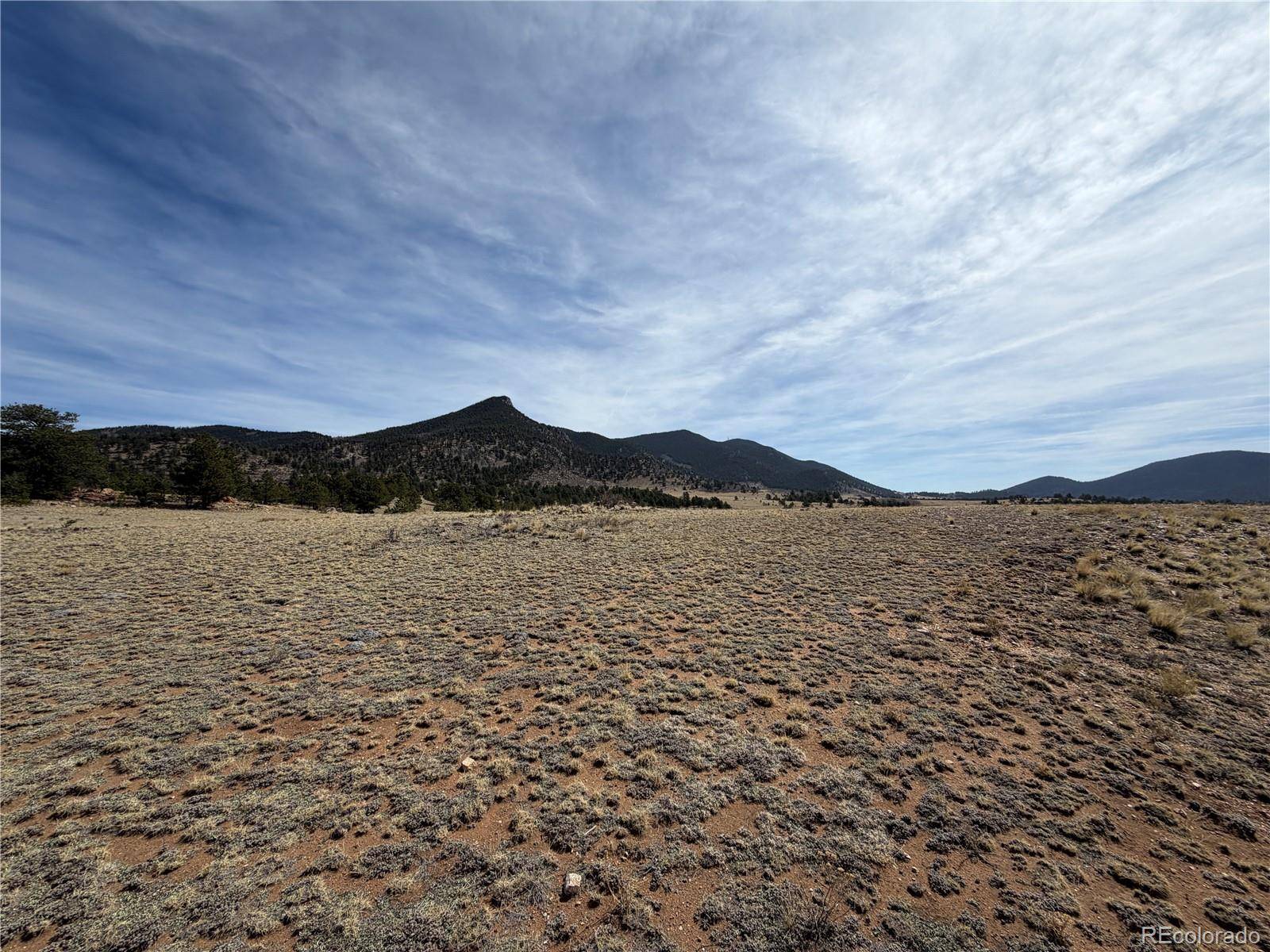 74 Craig LN, Hartsel, CO 80449