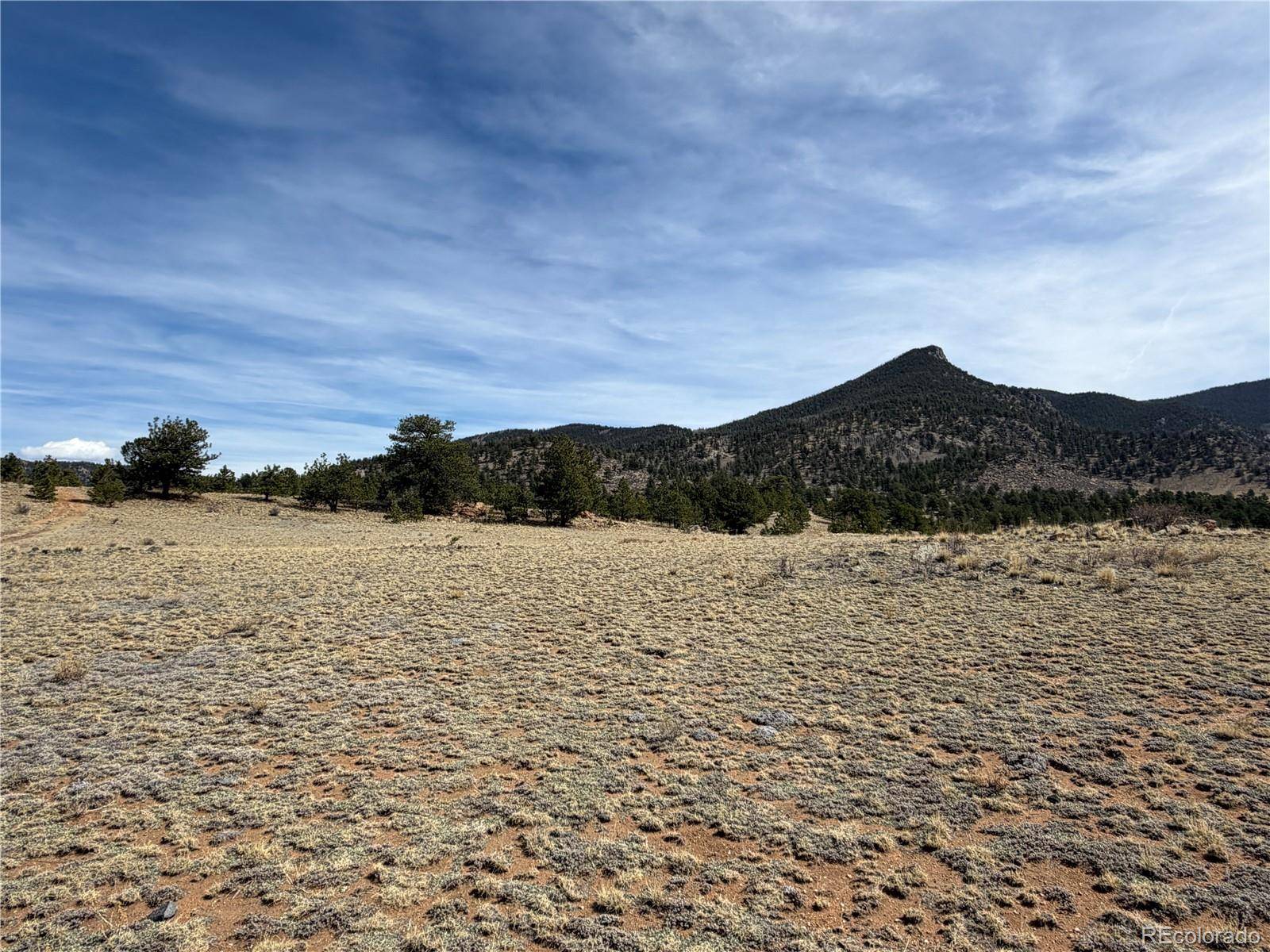 74 Craig LN, Hartsel, CO 80449