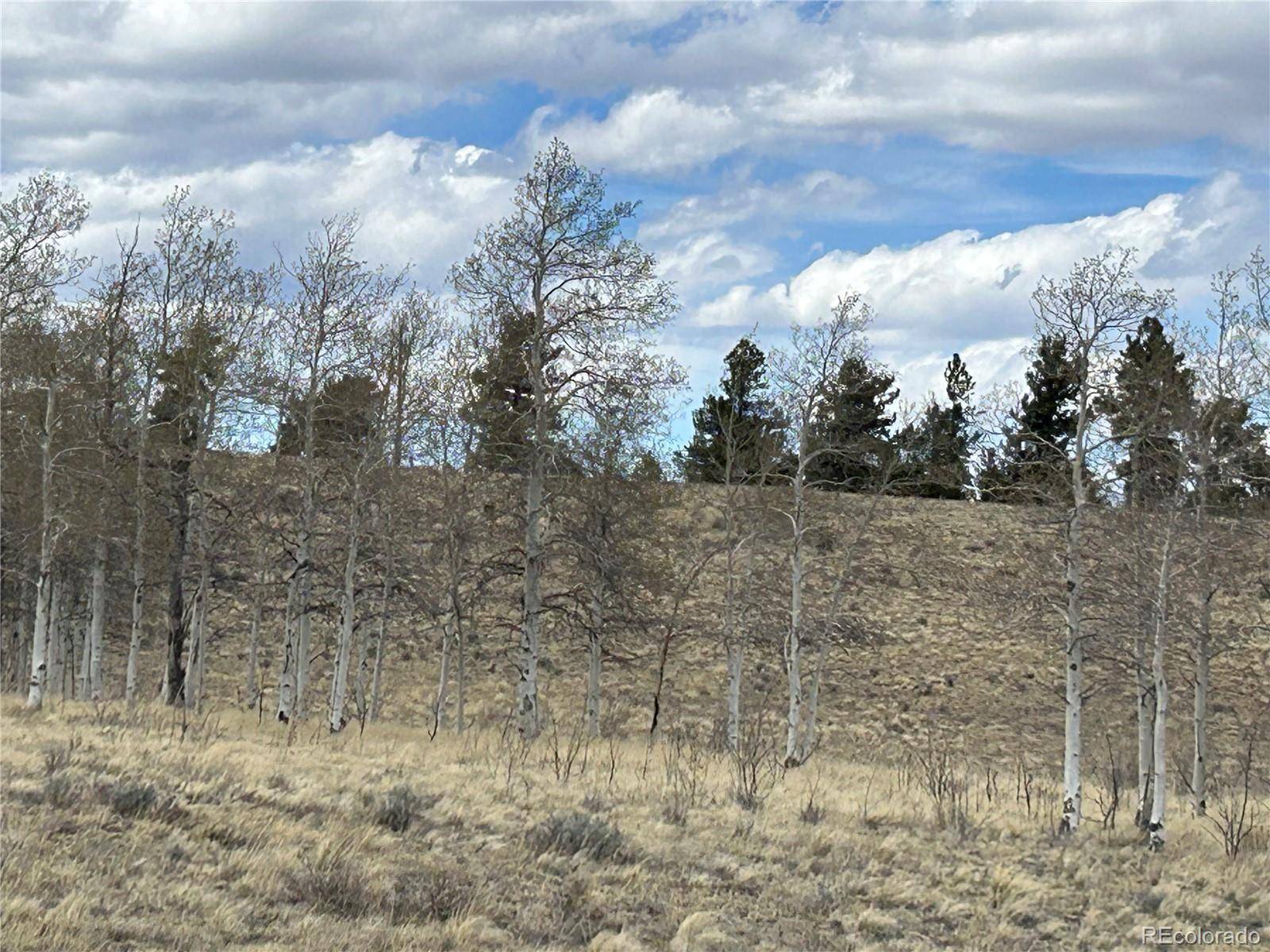 187 Angus CIR, Hartsel, CO 80449