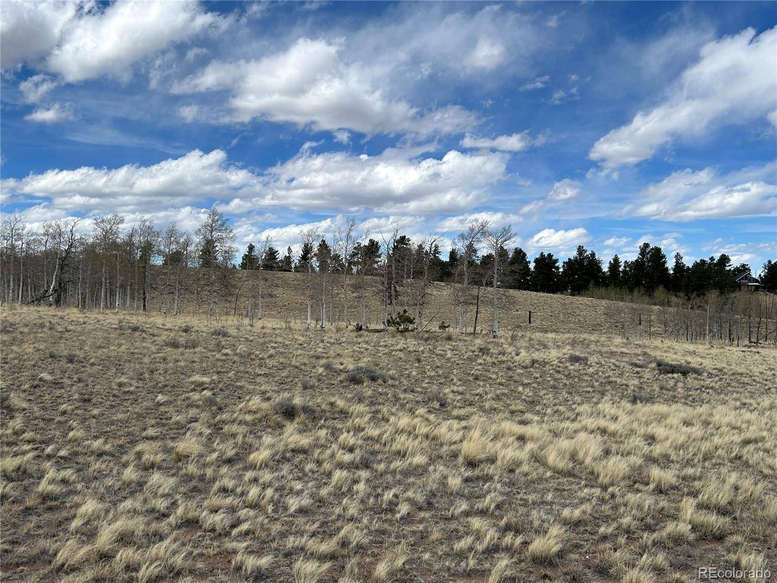 187 Angus CIR, Hartsel, CO 80449