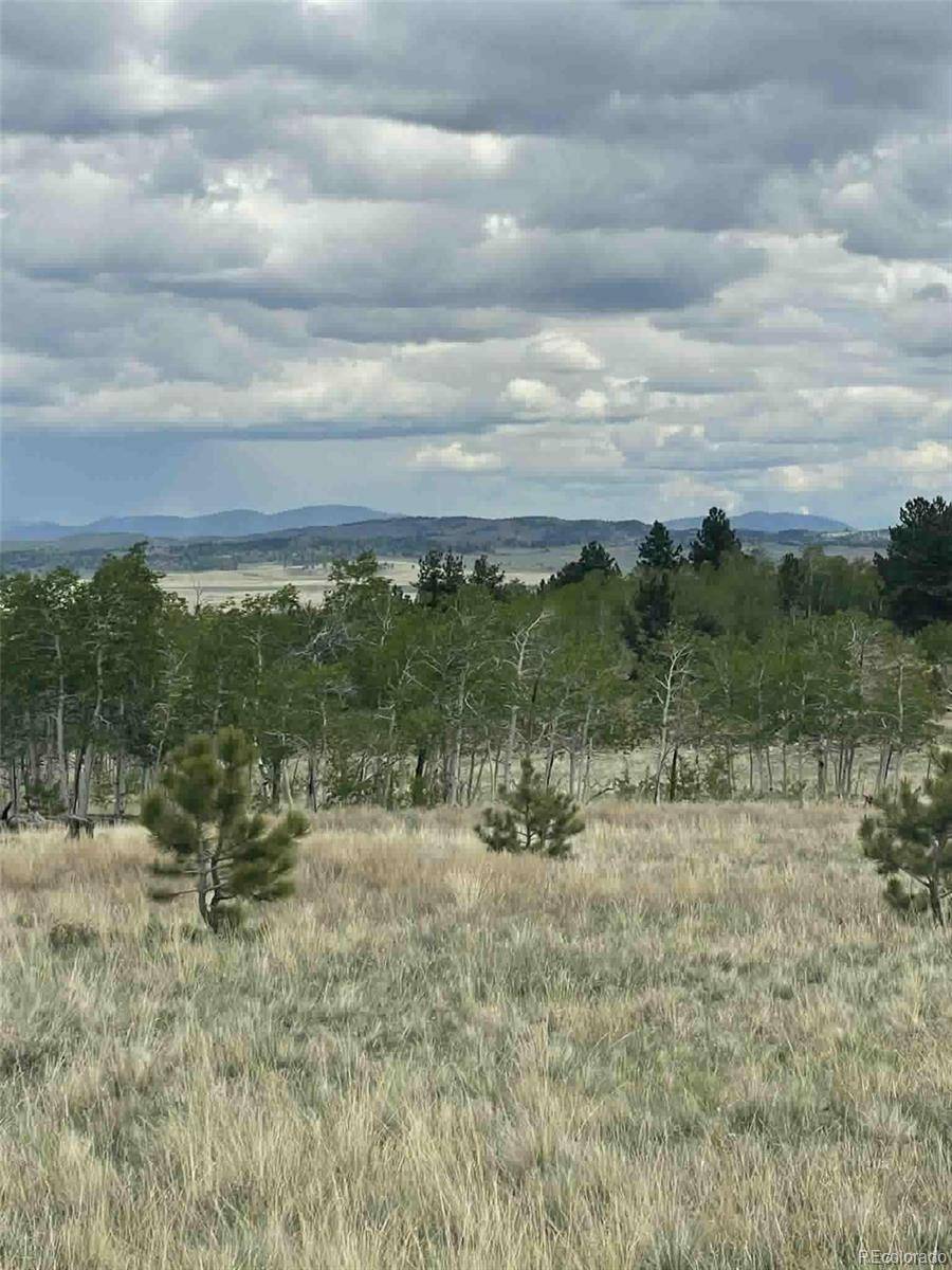 187 Angus CIR, Hartsel, CO 80449