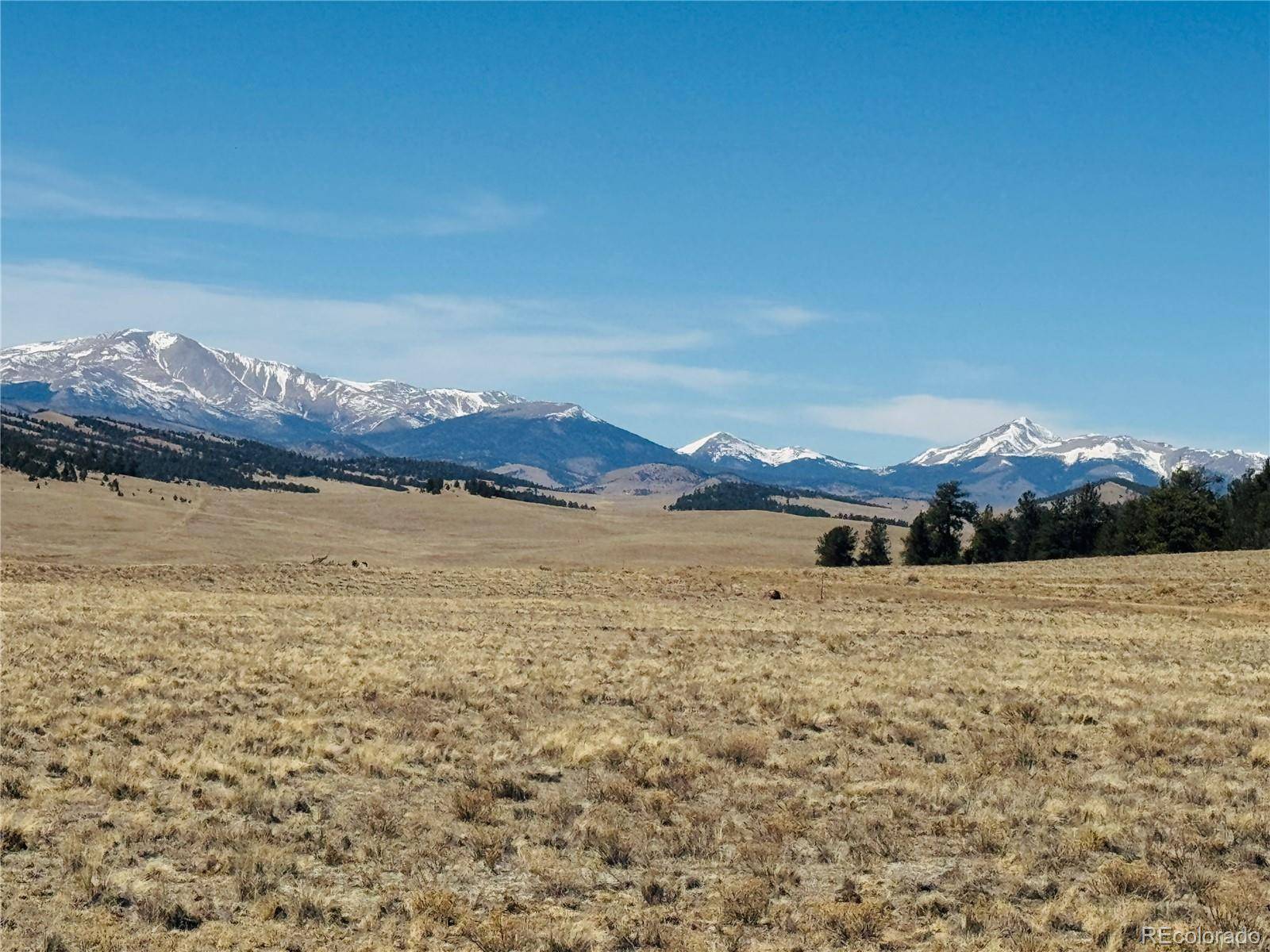 3067 Fitzsimmons RD, Hartsel, CO 80449