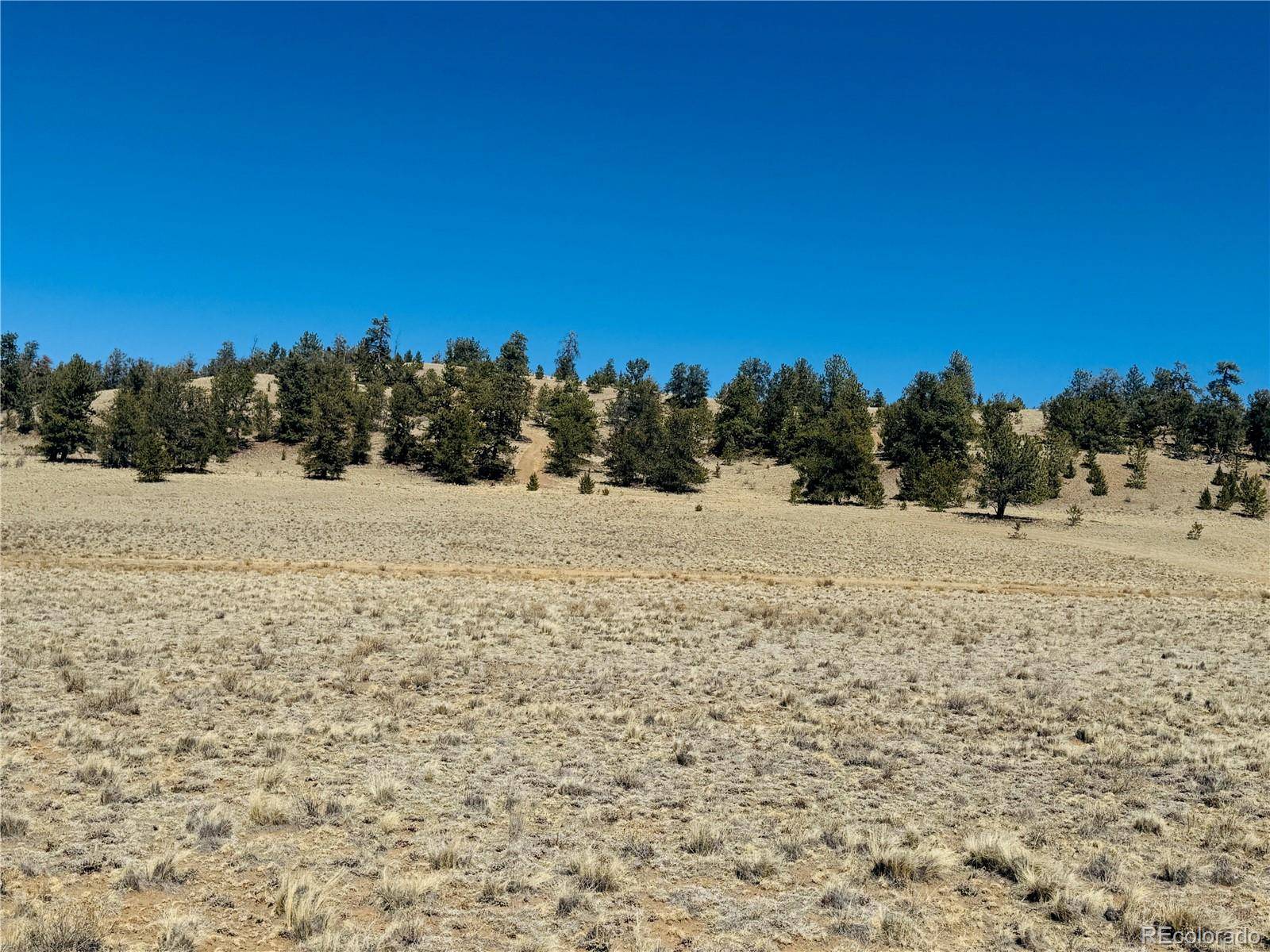 3067 Fitzsimmons RD, Hartsel, CO 80449