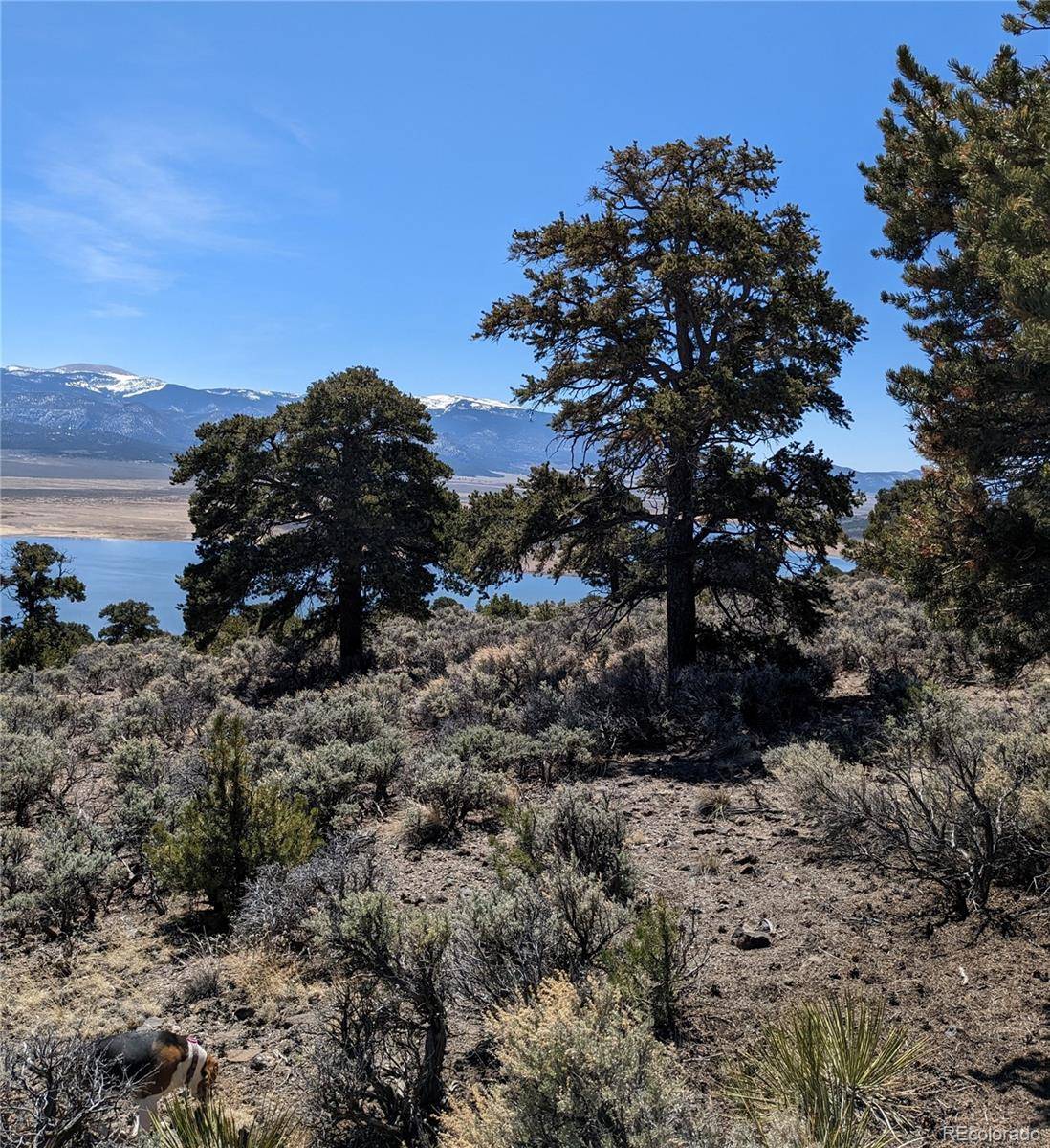 Lot 13 Eastridge TRL, San Luis, CO 81152