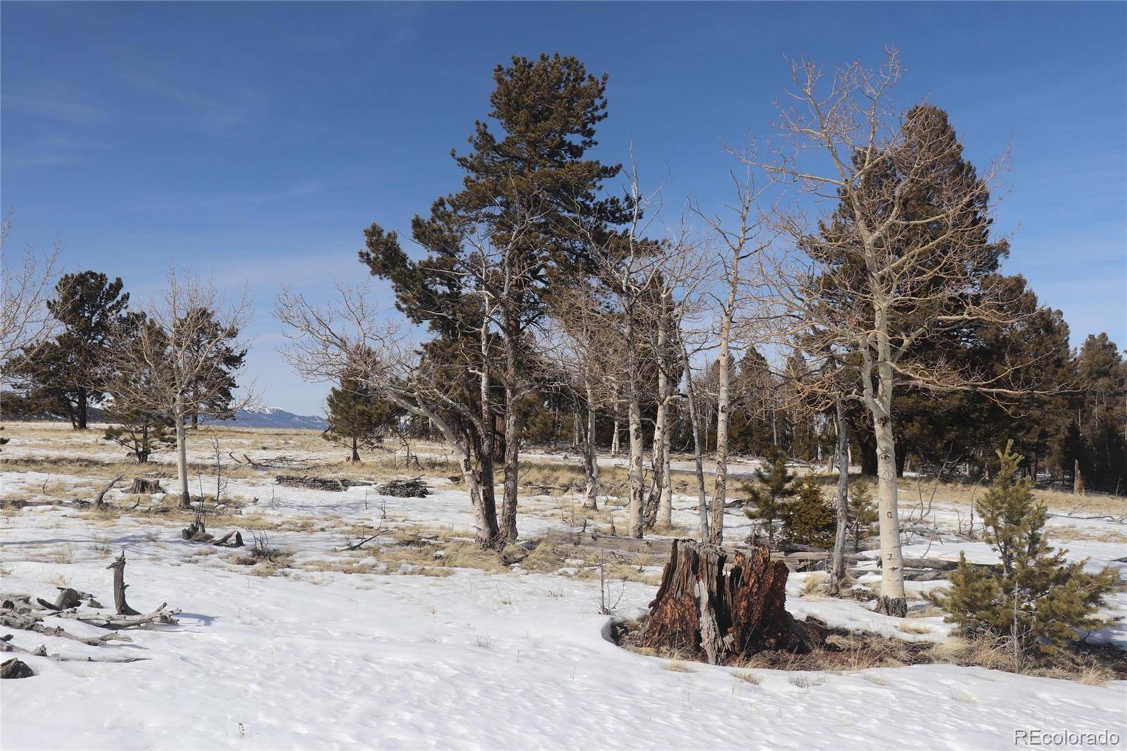 96 Baler CT, Hartsel, CO 80449