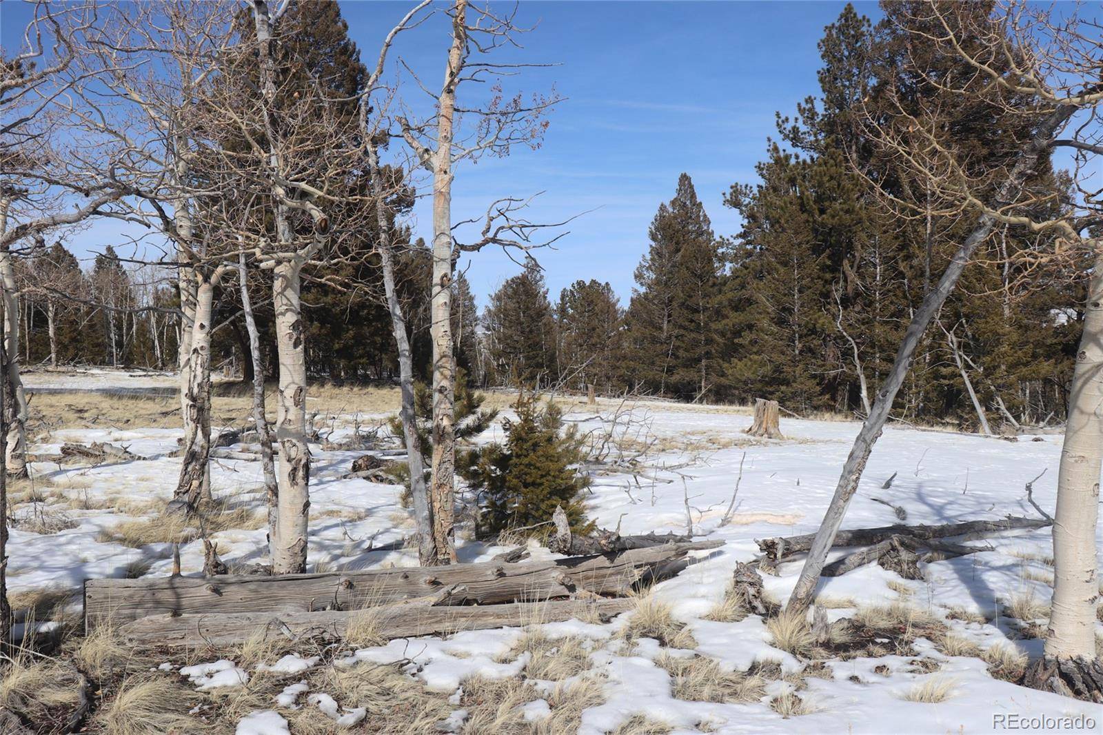 96 Baler CT, Hartsel, CO 80449