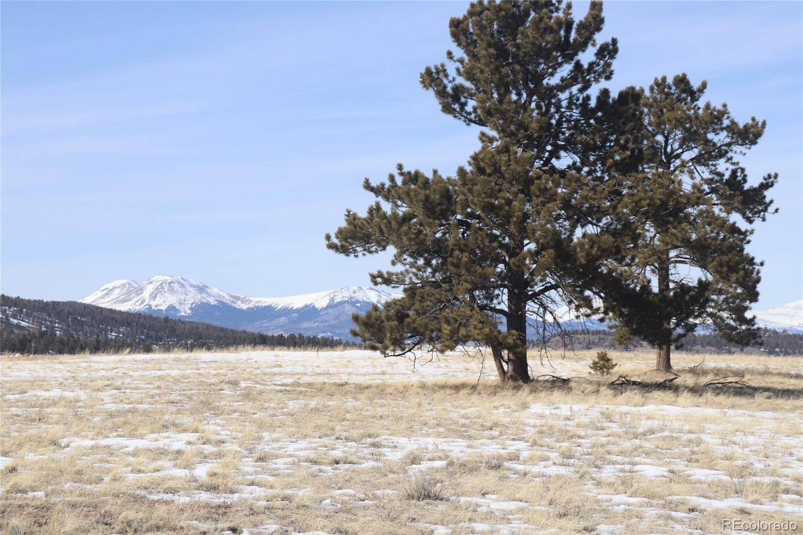 96 Baler CT, Hartsel, CO 80449