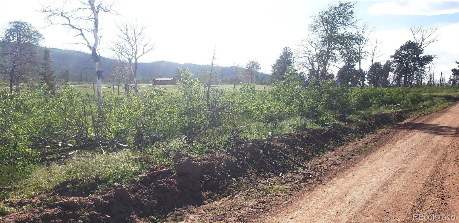 Lot 1406 Emery LOOP, Fort Garland, CO 81133