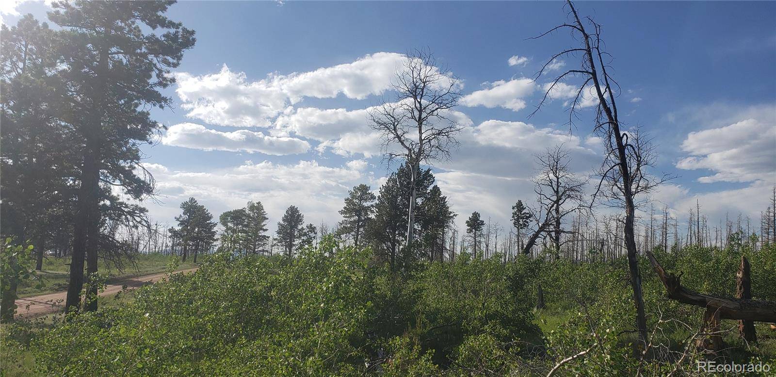 Lot 1406 Emery LOOP, Fort Garland, CO 81133